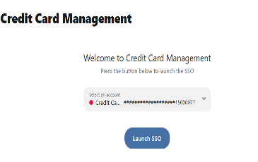 Credit Card Management Screen